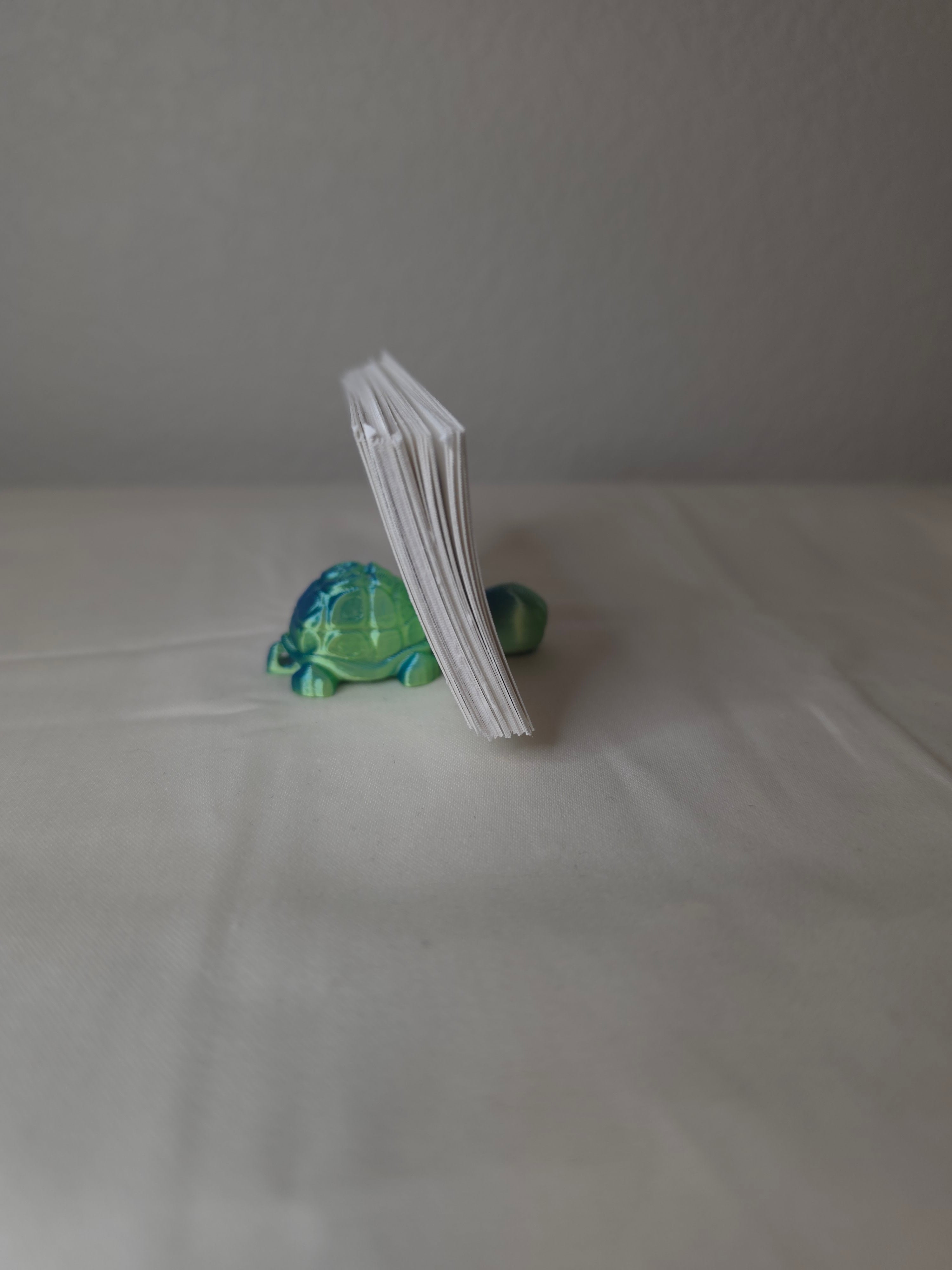 Card holding turtle