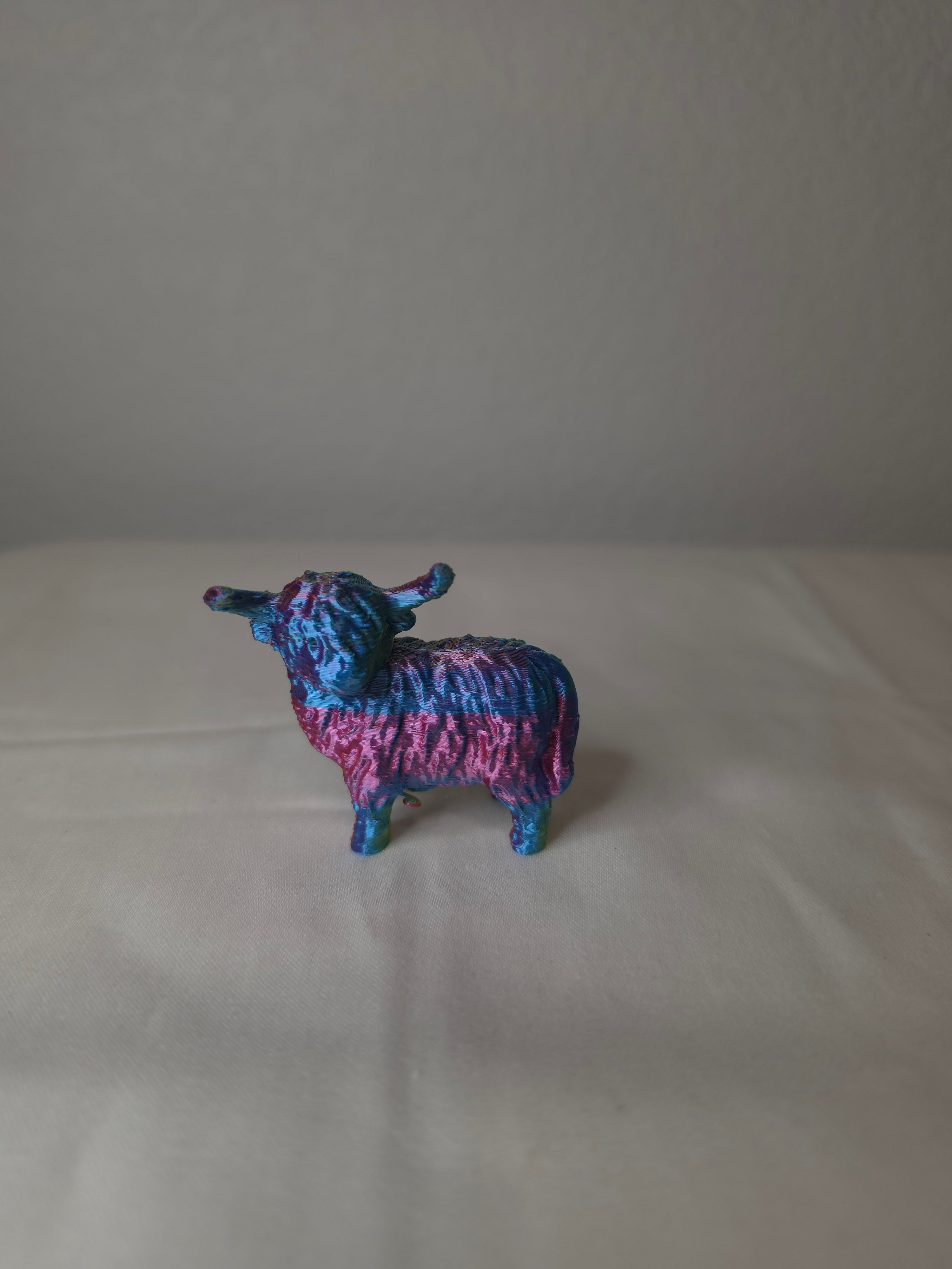 Mini highland cow