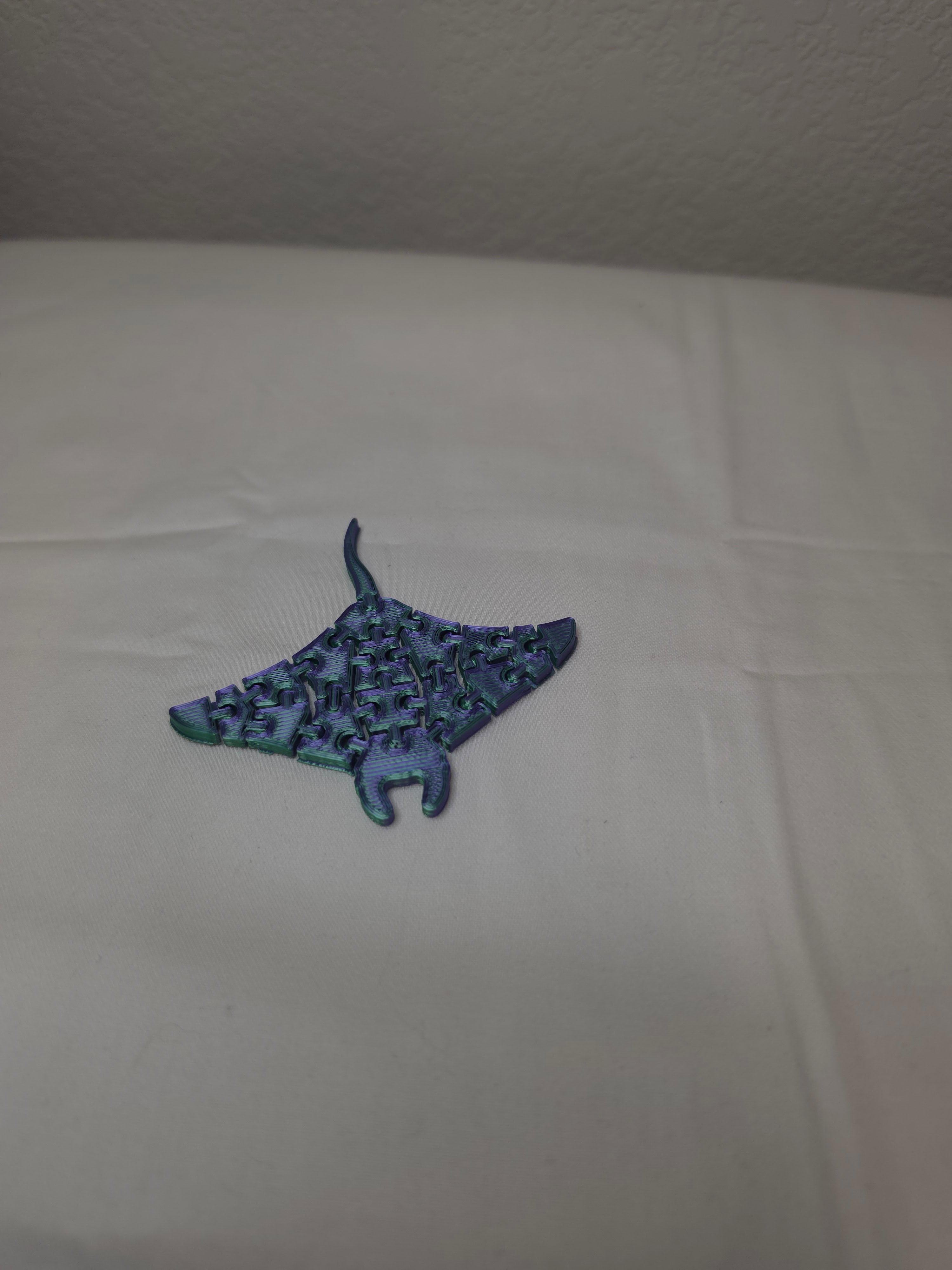 3d printed  puzzle ray