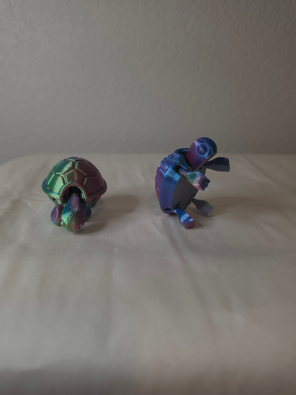 Small turtle