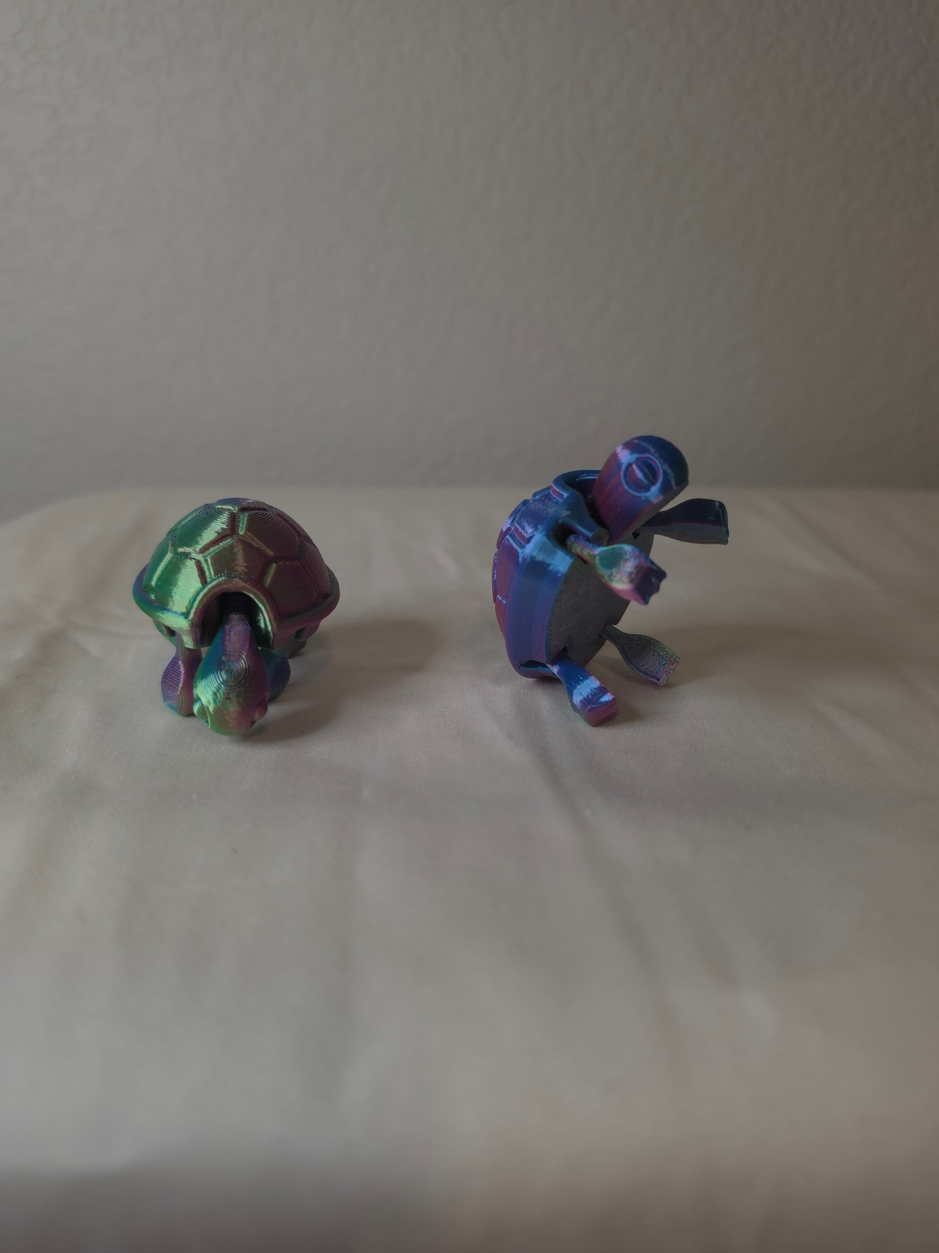 Small turtle