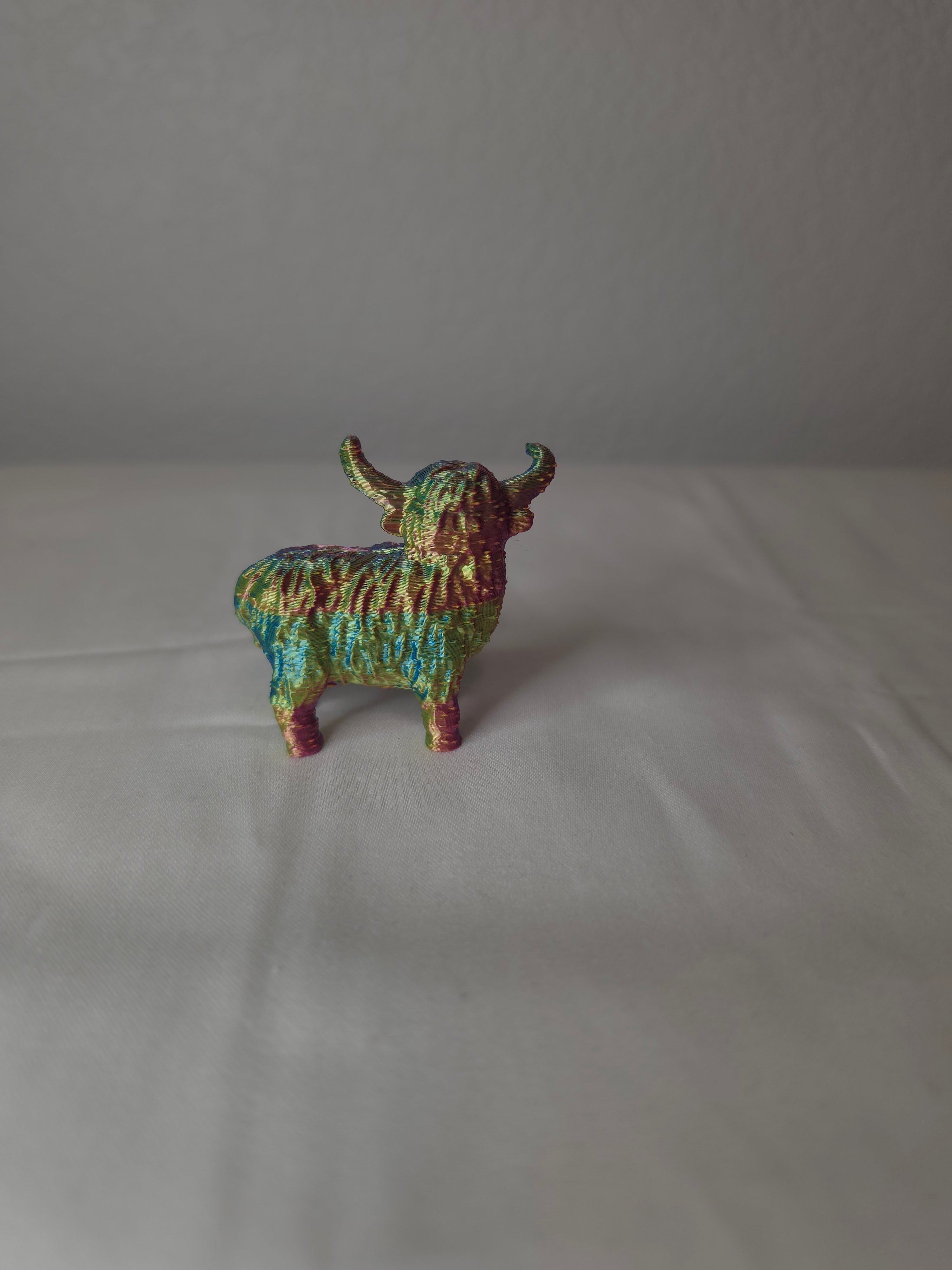 Mini highland cow