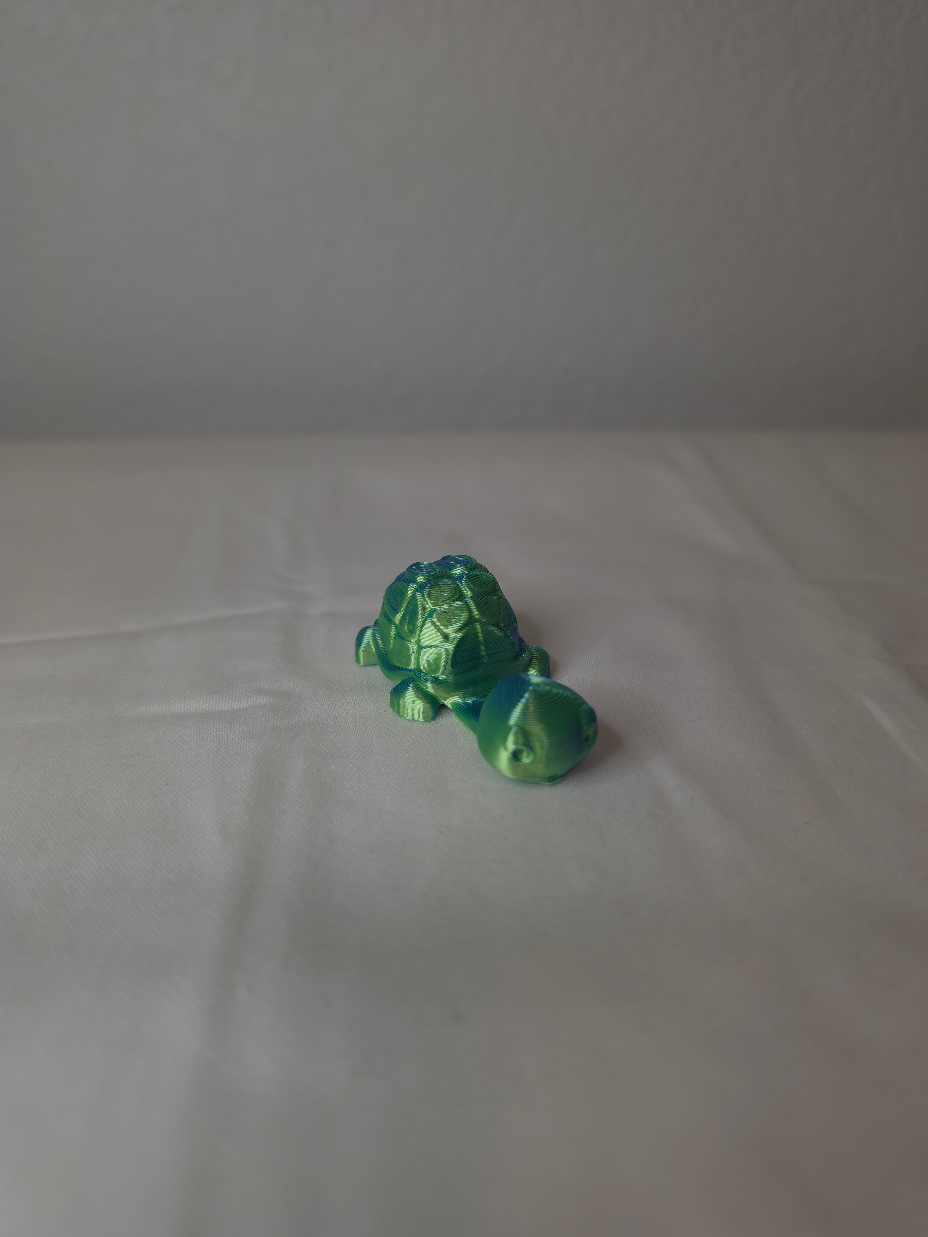 Card holding turtle