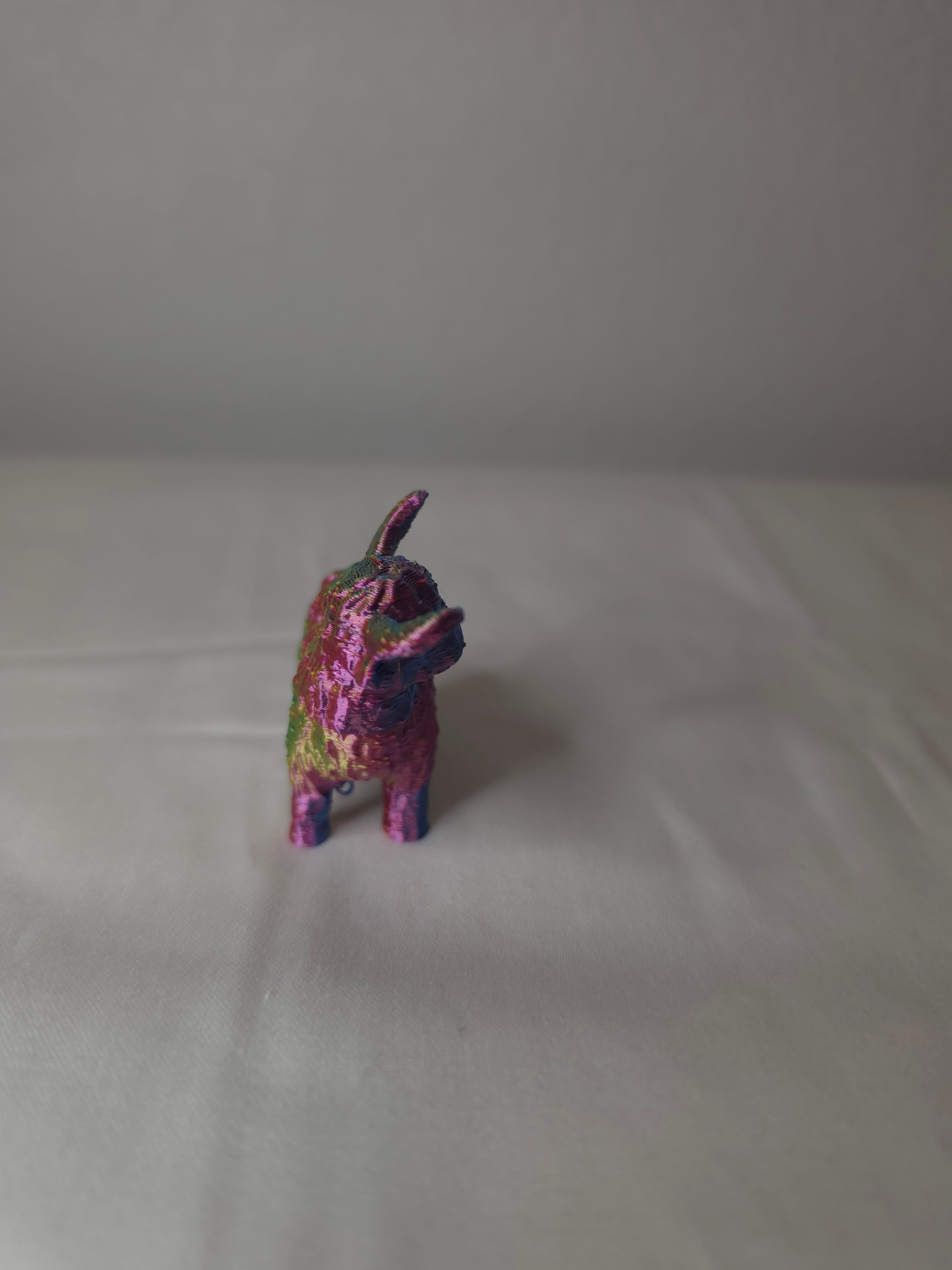 Mini highland cow