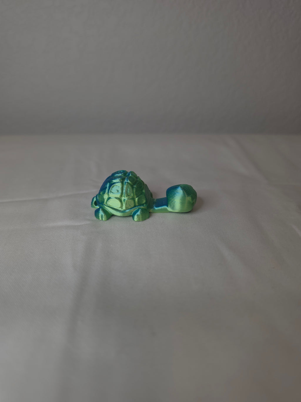 Card holding turtle